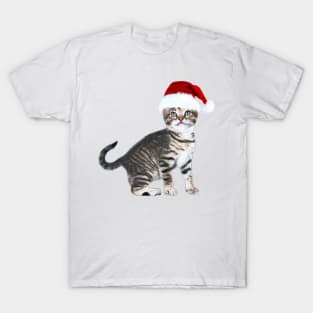 CHRISTMAS RDJ SPIDERMAN HOMECOMING CAT T-Shirt